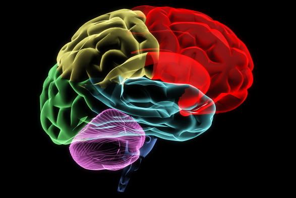 Normal Pressure Hydrocephalus