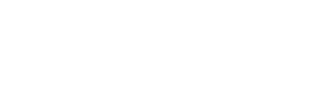 Long Island Alzheimer's and Dementia Center